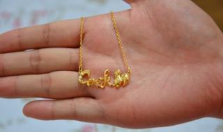 细大不逾是什么生肖 细大不逾是什么生肖